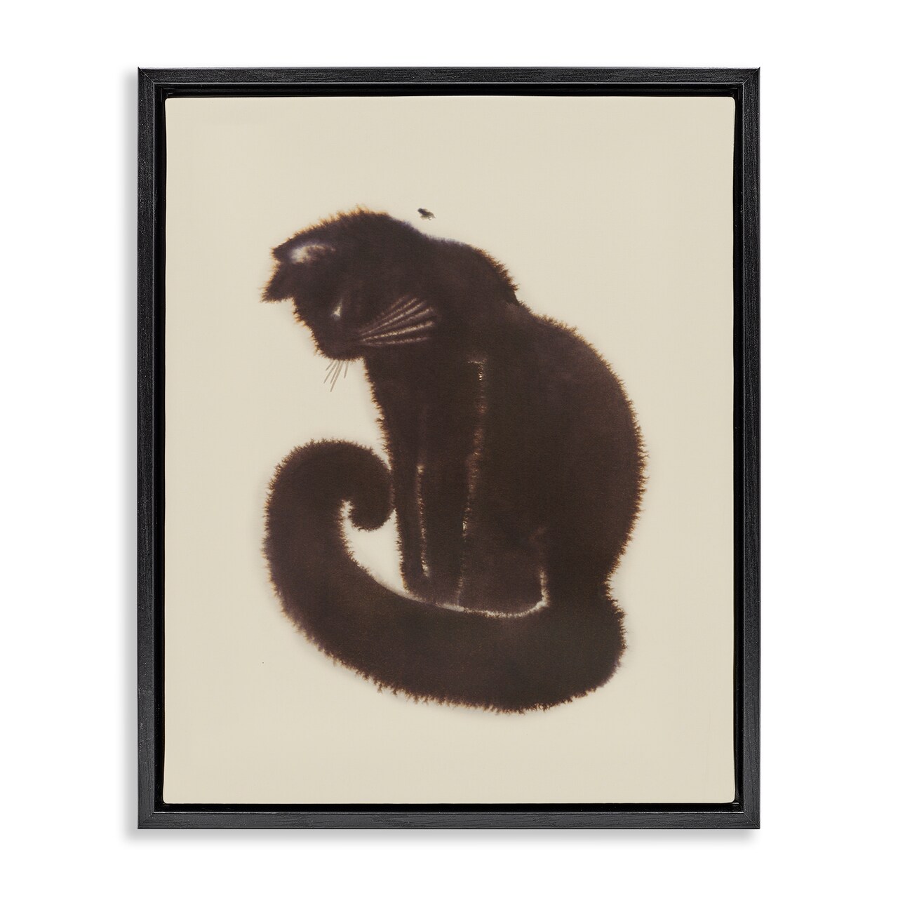 Stupell Industries Sitting Cat Curved Tail Floater Framed Canvas Wall Art Design by Grace Popp
